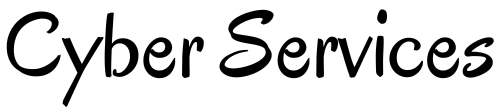 cyber services